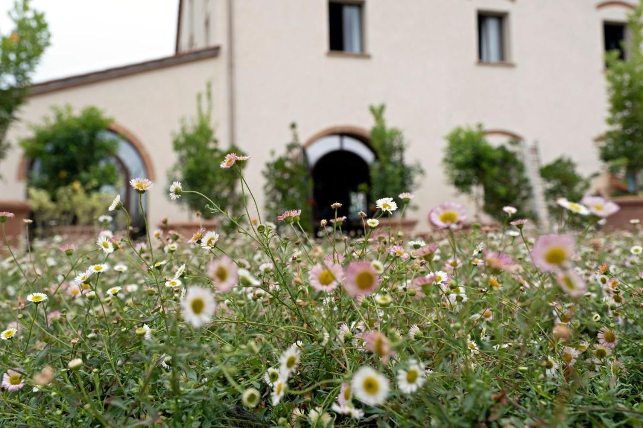 Paradis Agricole Pietrasanta Ngoại thất bức ảnh