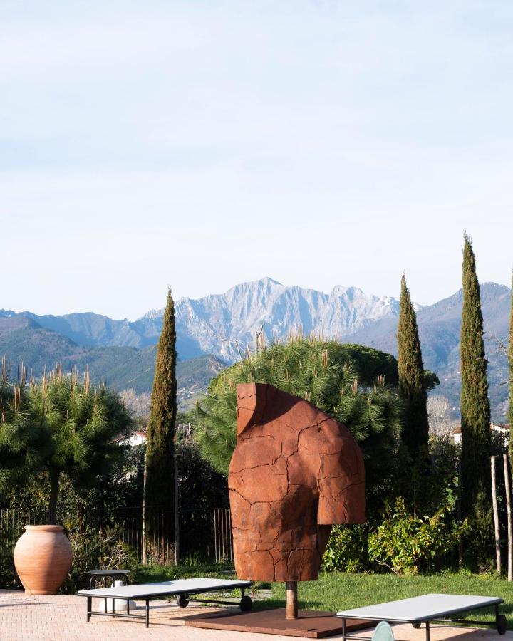 Paradis Agricole Pietrasanta Ngoại thất bức ảnh