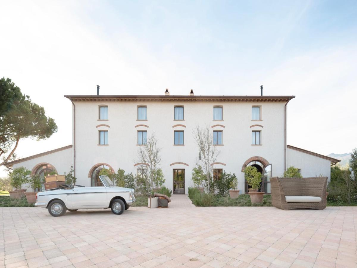 Paradis Agricole Pietrasanta Ngoại thất bức ảnh