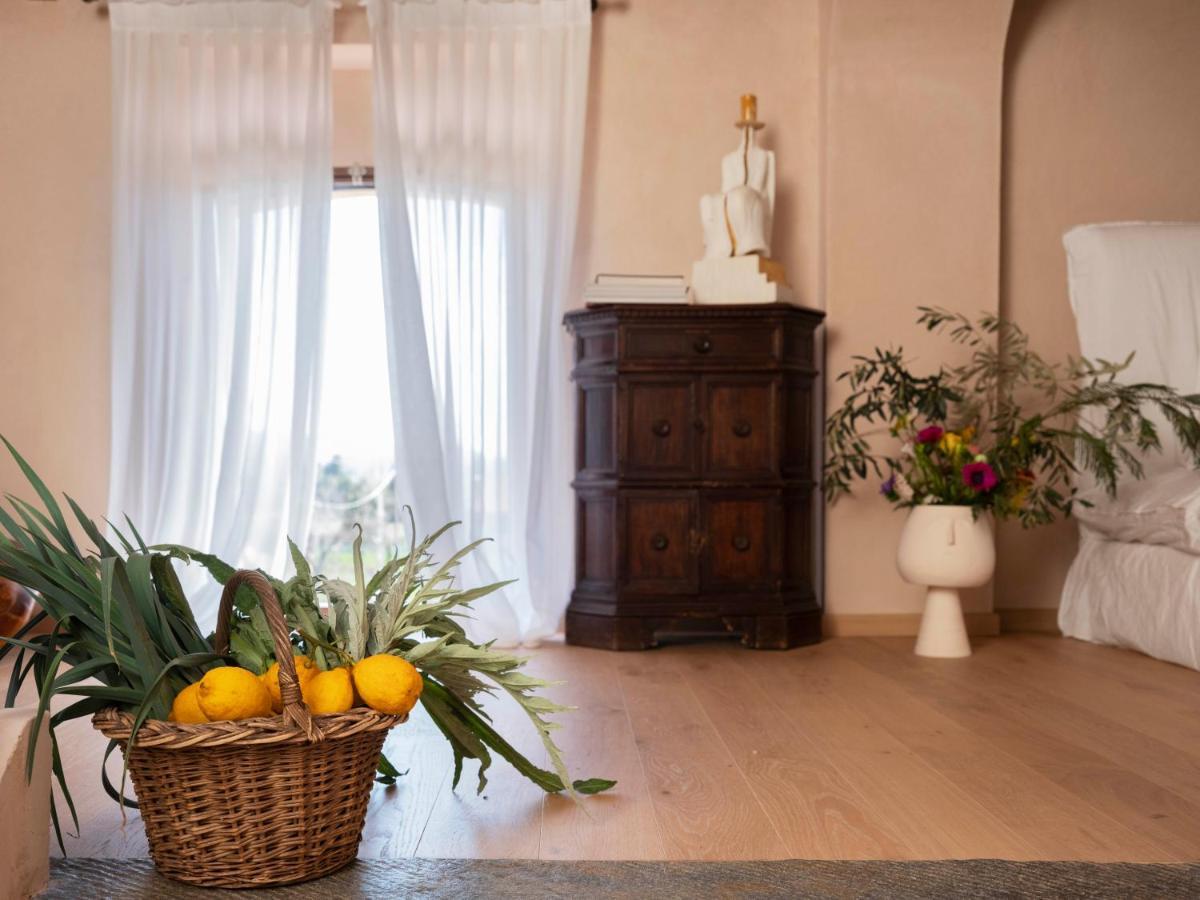 Paradis Agricole Pietrasanta Ngoại thất bức ảnh